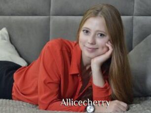 Allicecherry