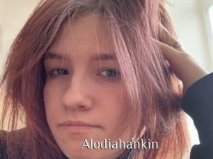Alodiahankin