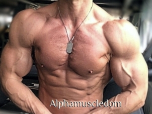 alphamuscledom Shop coquin