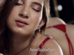 Amelialodge