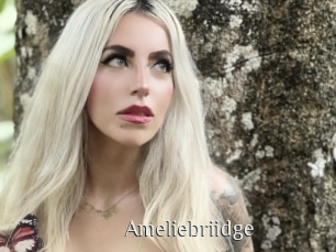 Ameliebriidge