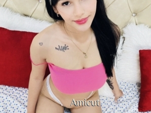 Amicut