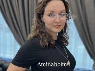 Aminaholms