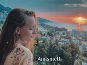 Amismett