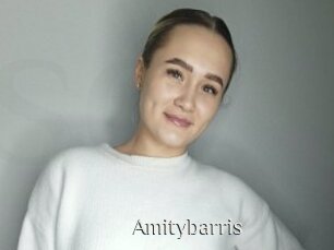 Amitybarris