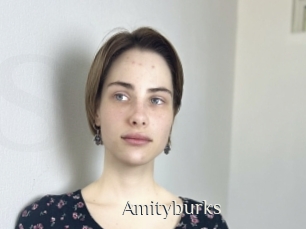 Amityburks