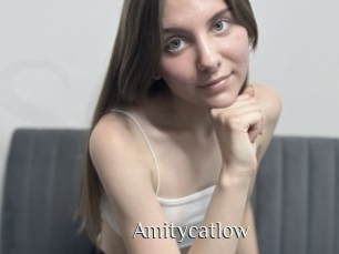 Amitycatlow