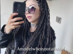 Amodelwhoisnotamodel