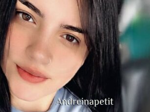 Andreinapetit