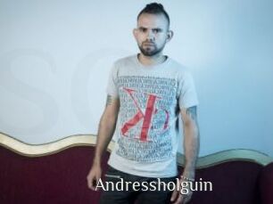 Andressholguin