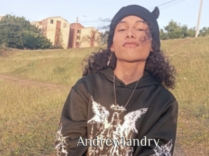 Andrewlandry