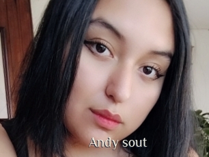 Andy_sout