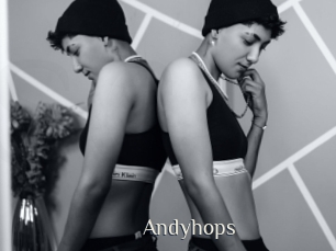 Andyhops
