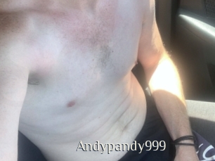 Andypandy999
