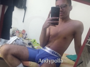 Andypolla
