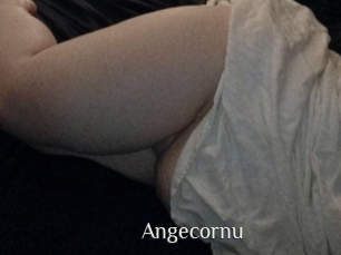 angecornu Shop coquin