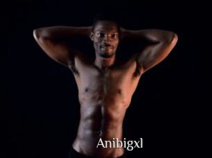 Anibigxl
