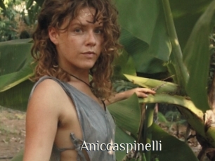 Aniccaspinelli