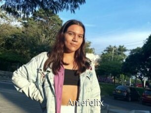 Aniefelix