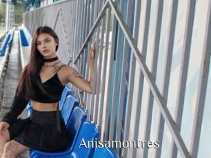 Anisamontres