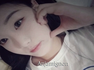 Anjamignon