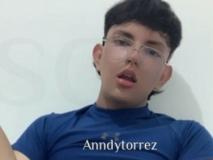 Anndytorrez