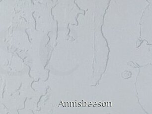 Annisbeeson