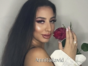 Annitadavid
