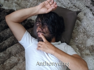 anthonyding Shop coquin