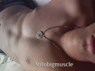 Antobigmuscle