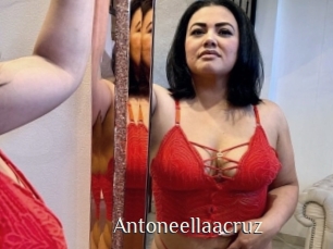 Antoneellaacruz