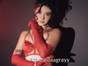 Antonellaagrayy