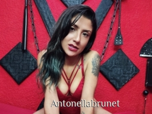 Antonellabrunet