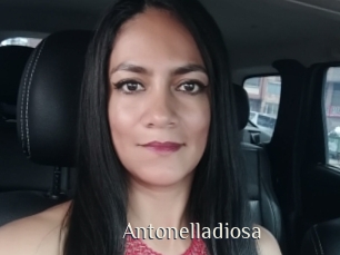 Antonelladiosa