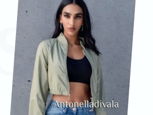 Antonelladivala
