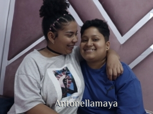 Antonellamaya