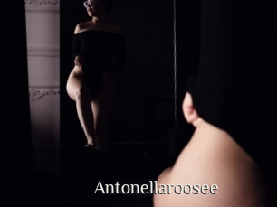 Antonellaroosee