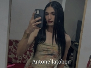 Antonellatobon