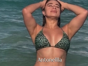Antonellla