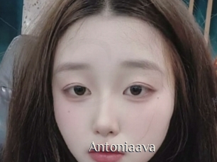Antoniaava