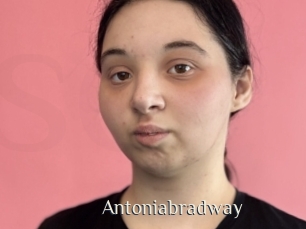 Antoniabradway
