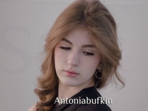 Antoniabufkin