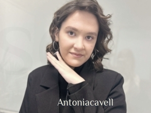 Antoniacavell