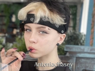 Antoniachasey