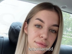 Antoniacodd