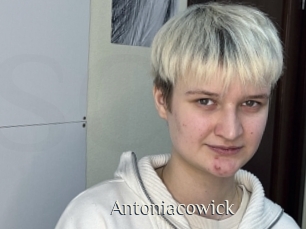 Antoniacowick