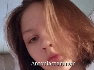 Antoniacrammer