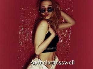 antoniacresswell Shop coquin