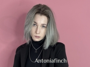 Antoniafinch