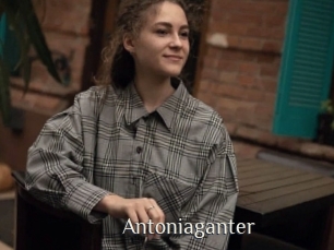 Antoniaganter